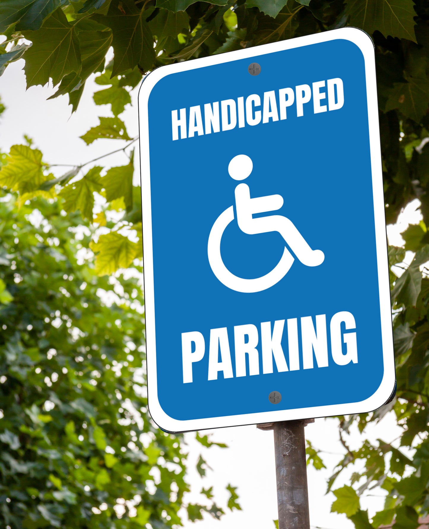 Handicapped Parking Logo - Sign 12 In. X 18 In.