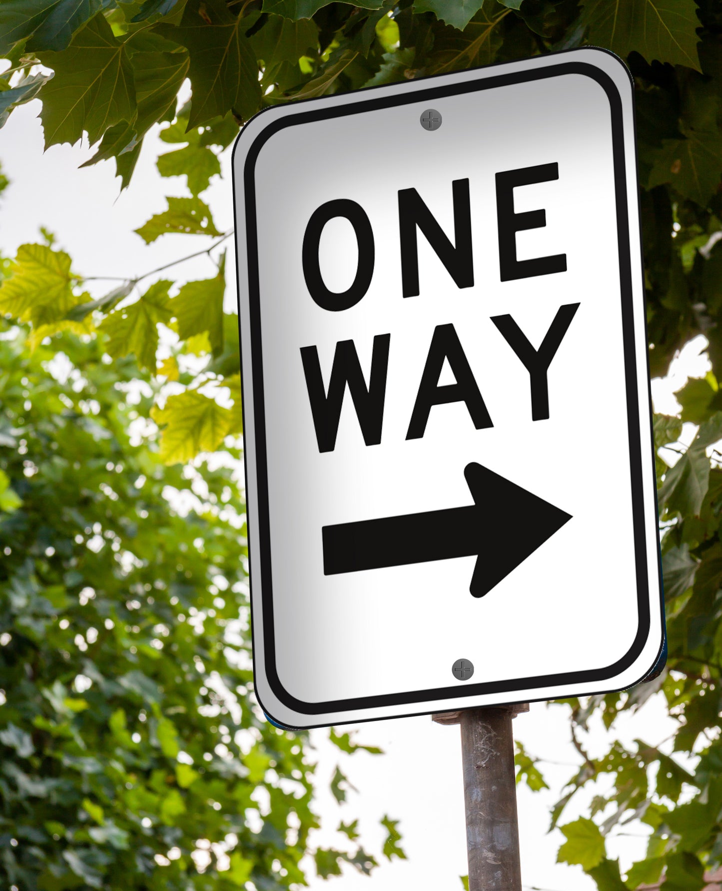 One Way Right Arrow - Sign 12 In. X 18 In.