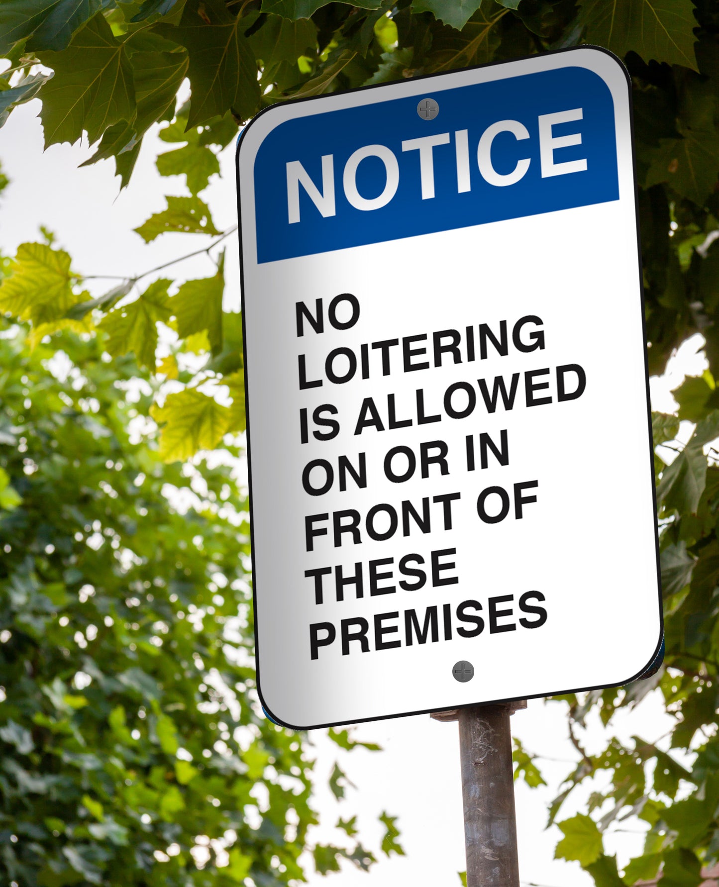Notice No Loitering In Front Of Premise - Sign 12 In. X 18 In.