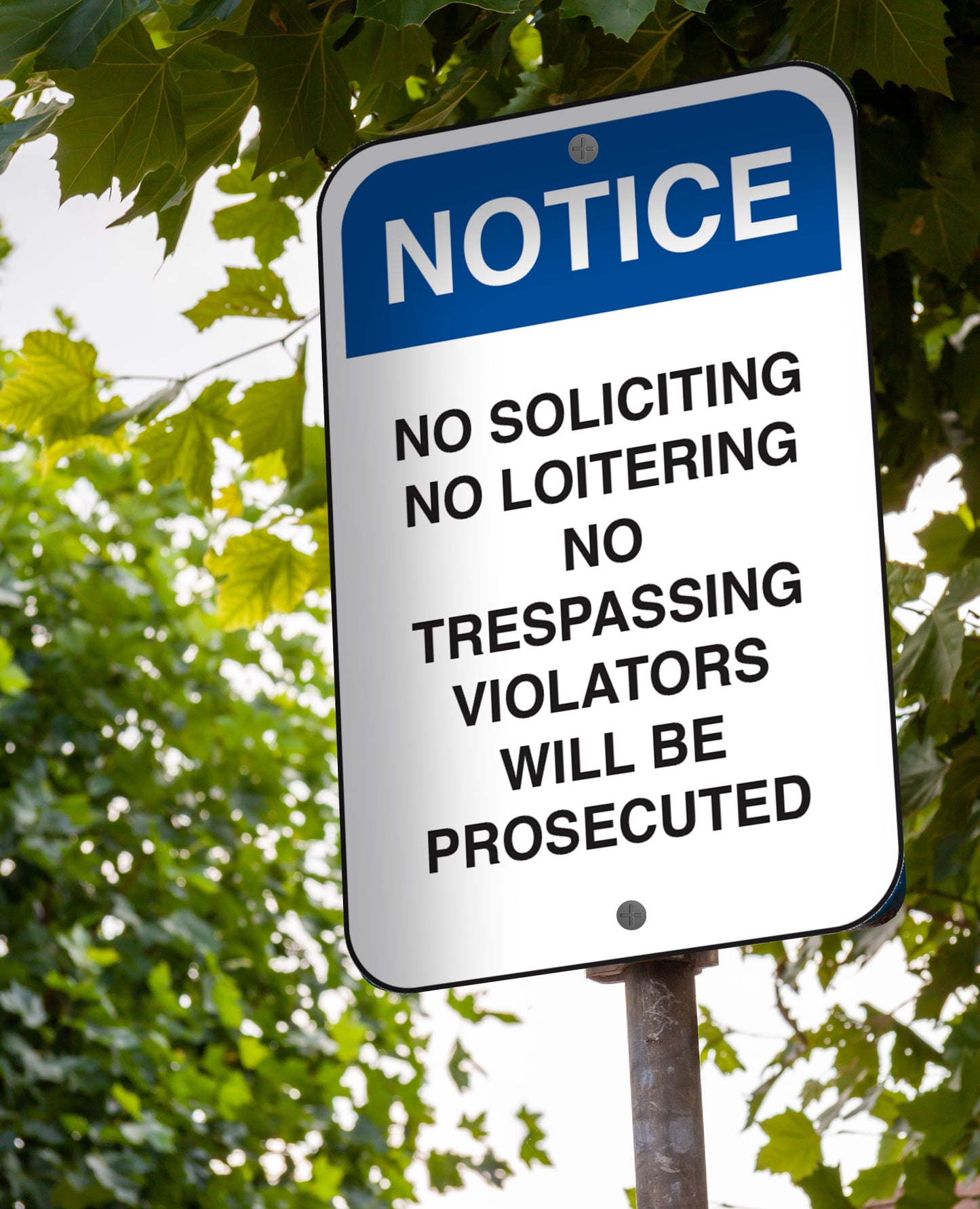 Notice No Soliciting, No Loitering, No Trespassing - Sign 12 In. X 18 In.