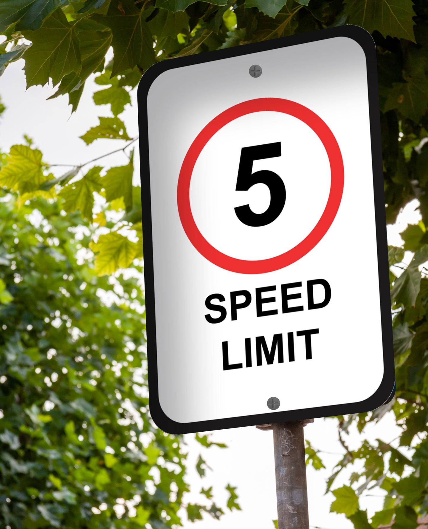Speed Limit 5 Mph - Sign 12 In. X 18 In.