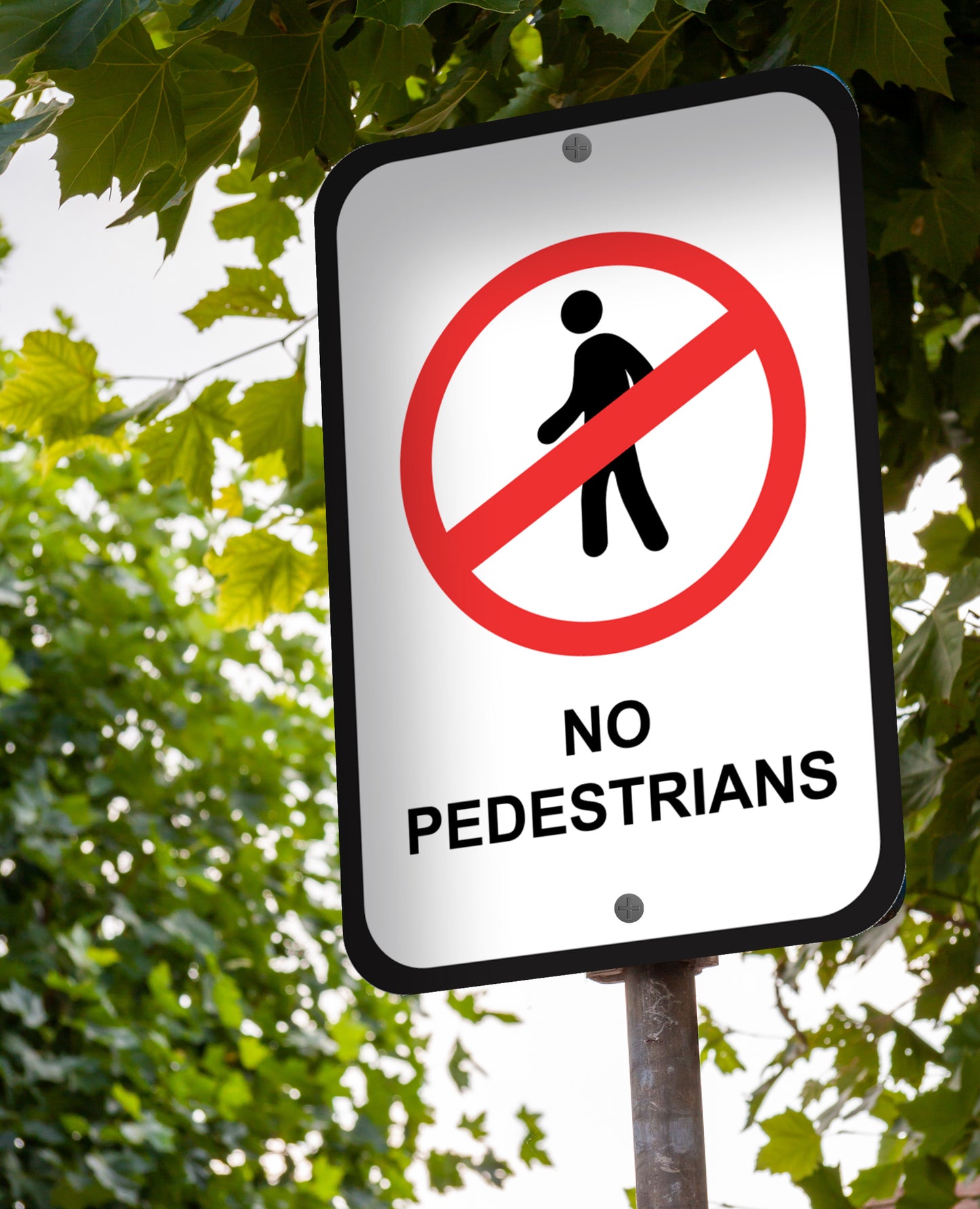 No Pedestrians - Sign 12 In. X 18 In.
