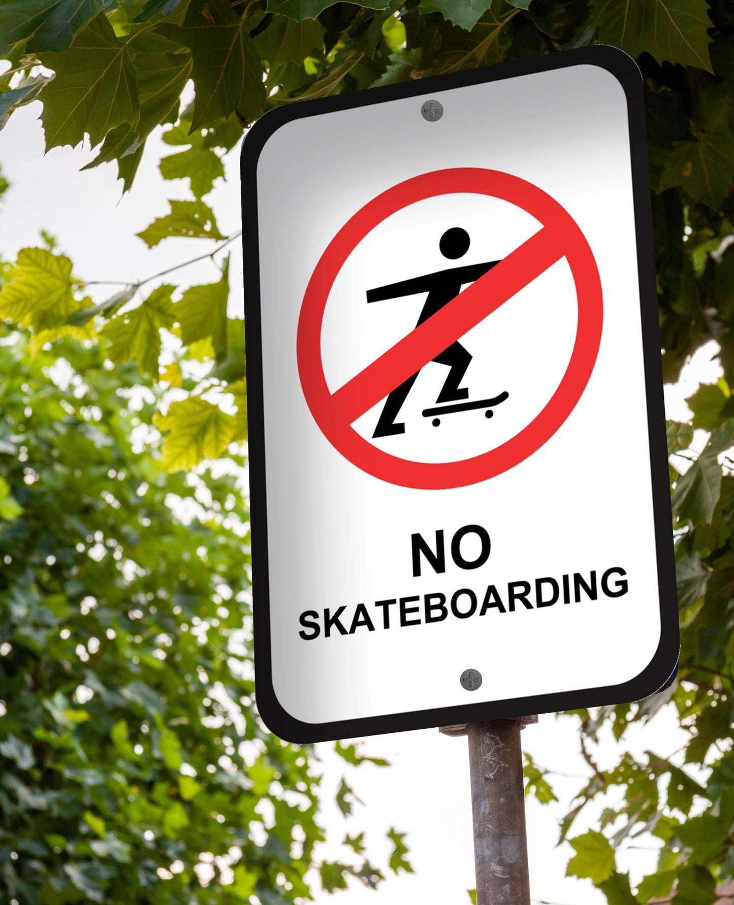 No Skateboarding - Sign 12 In. X 18 In.