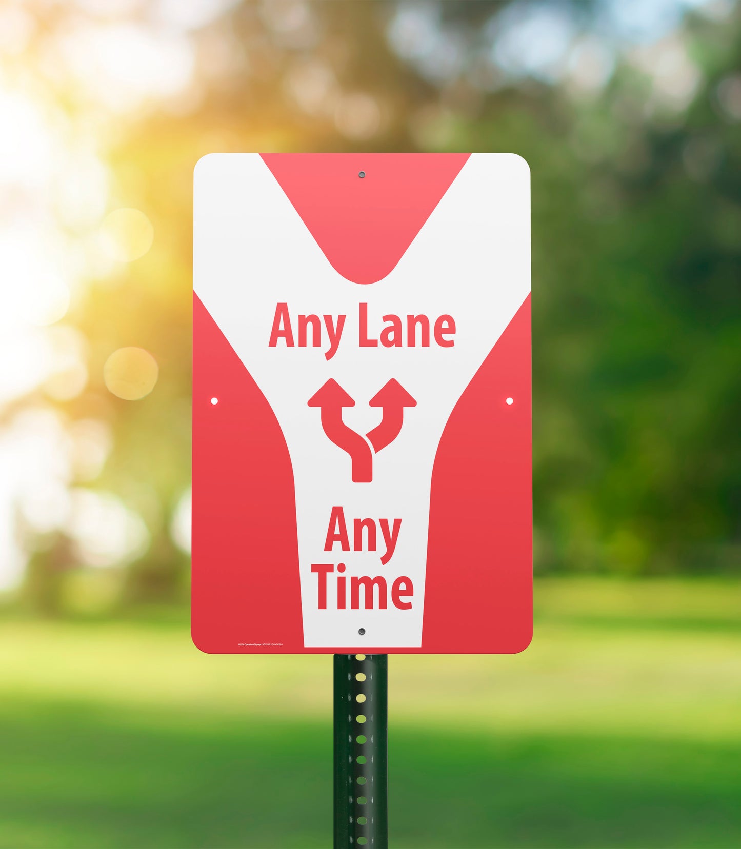 Any Lane, Any Time - Parking Sign - 18 In. X 24 In.
