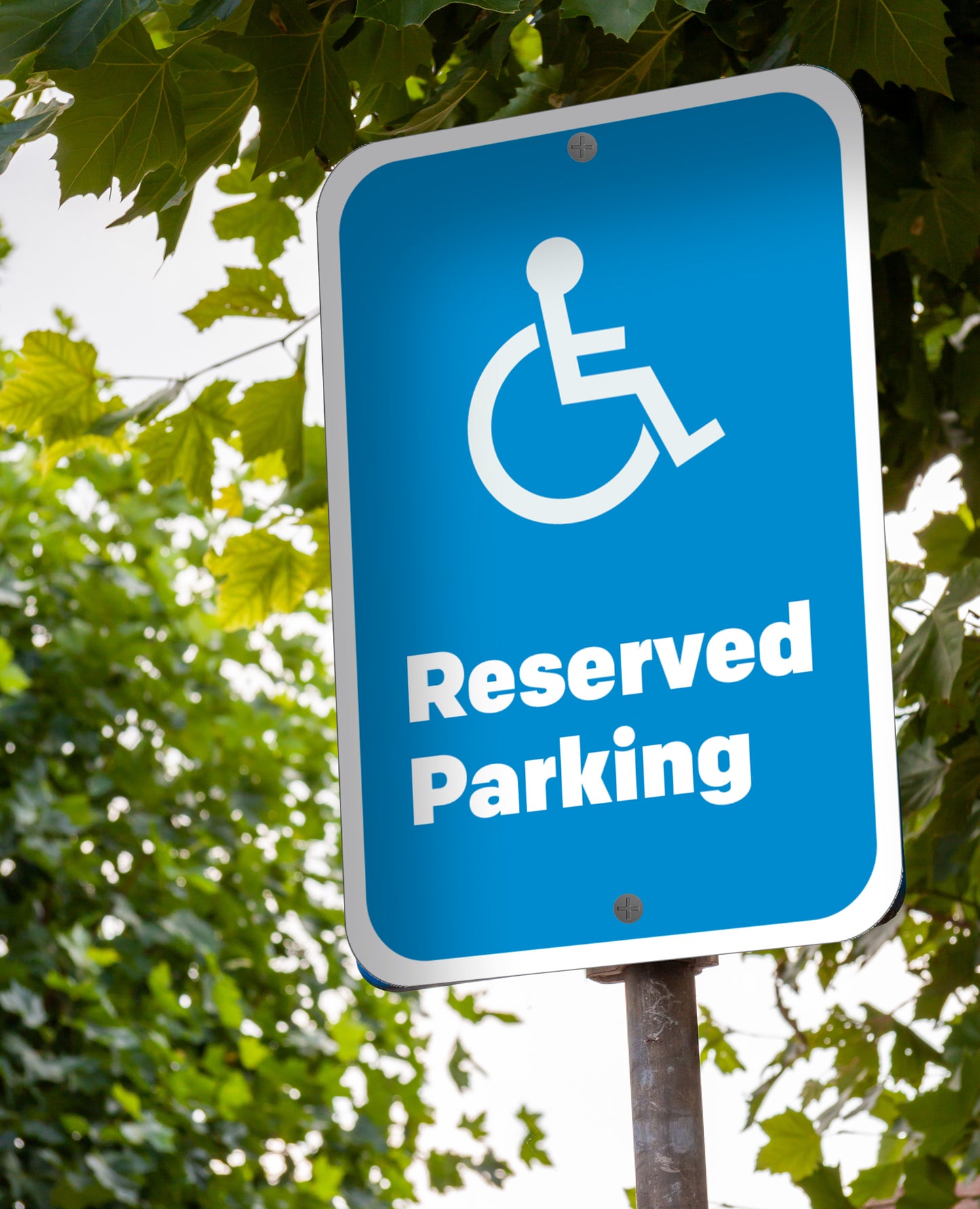 blue and white reserved handicapped parking sign with trees in background