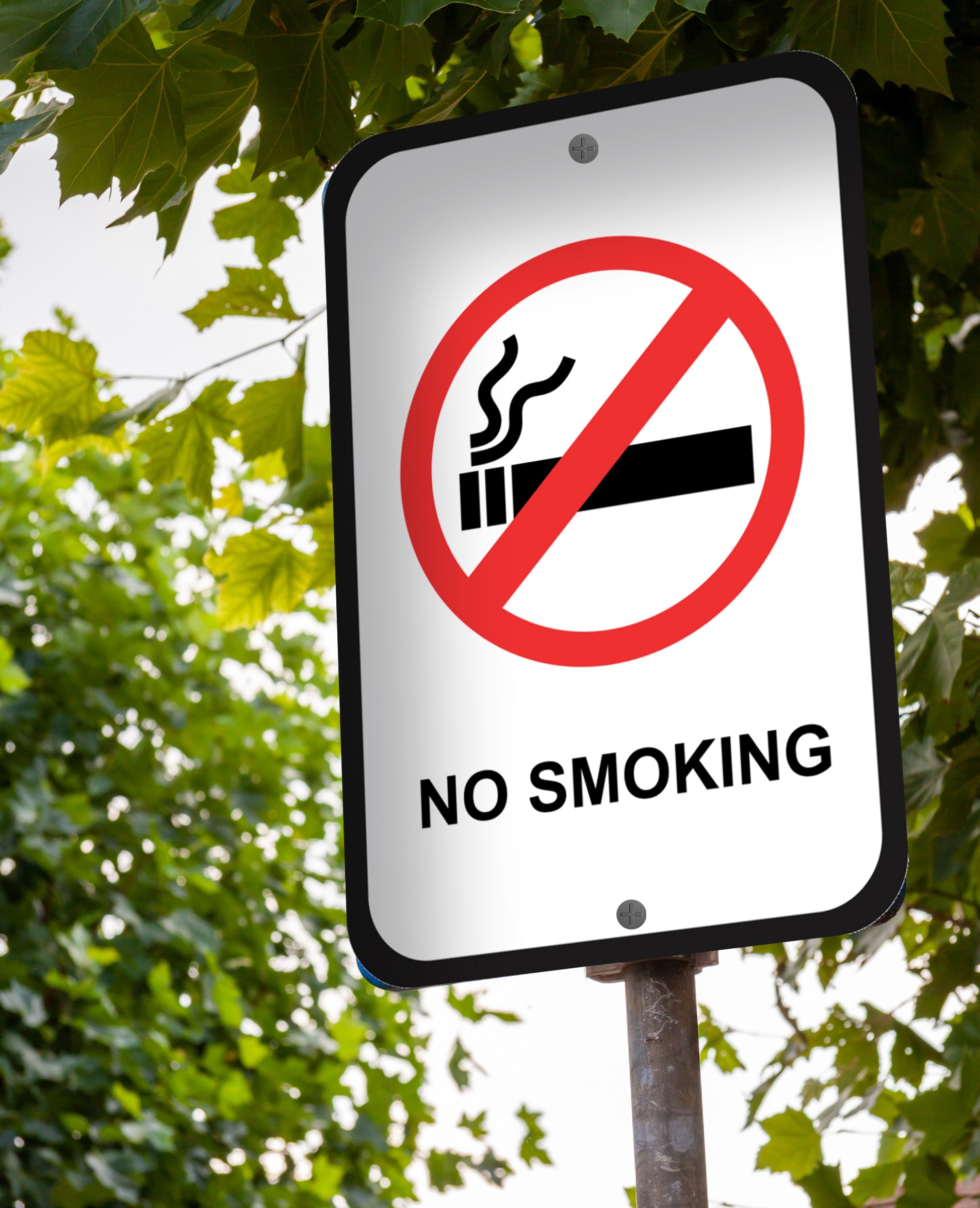 No Smoking - Sign 12 In. X 18 In. – OperationalSignage.com