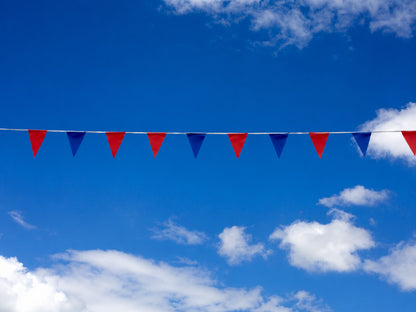 Pennants (Normal Duty) - Red & Blue  100 Ft.
