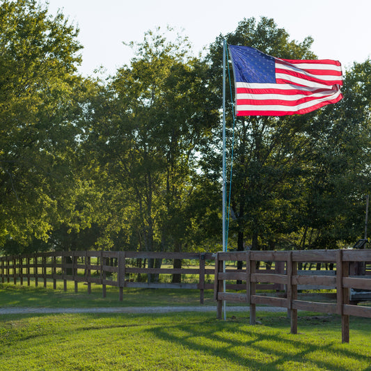 us flag in front yard with fence